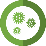 Mold Removal