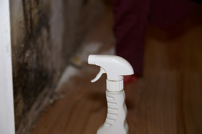 Air Duct Mold Removal in Frisco, TX