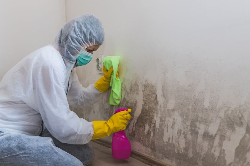Air Duct Mold Removal in Fort Worth, TX