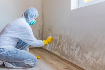 Black Mold Remediation in Frisco, TX
