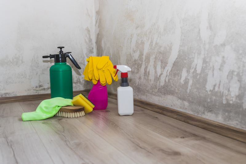 Crawl Space Mold Removal in Fort Worth, TX