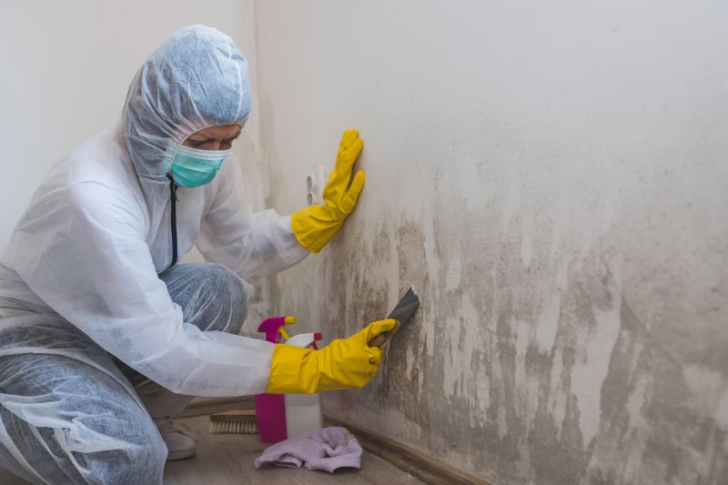 Crawl Space Mold Removal in Jupiter, FL