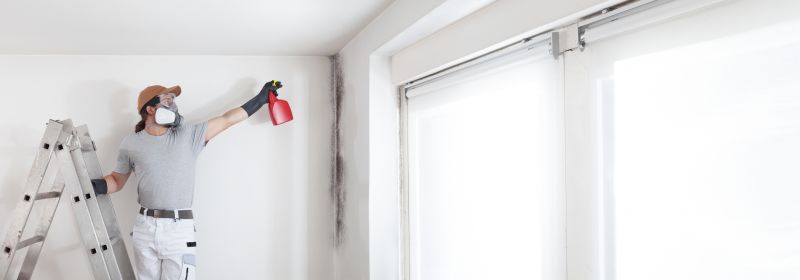 Garage Mold Remediation in Boca Raton, FL