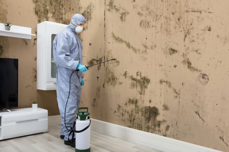 Mold Abatement in Rockwall, TX