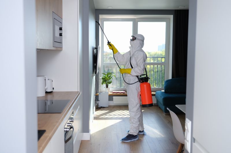 Local Mold Abatement Service in Allen, TX