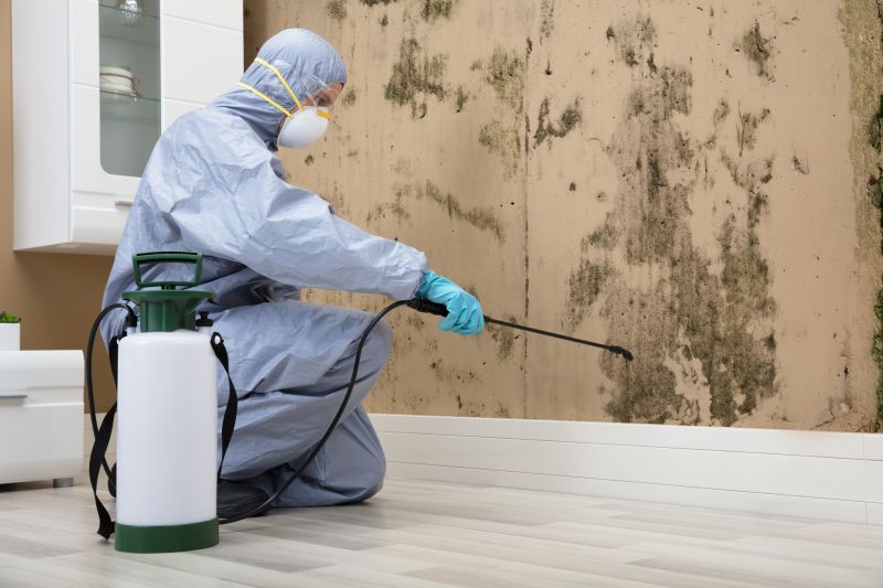 Local Mold Abatement Service in Caddo Mills, TX