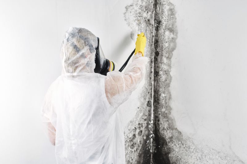 Local Mold Abatement Service in Princeton, TX