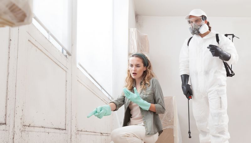 Local Mold Mitigation Service in Lake Worth, FL