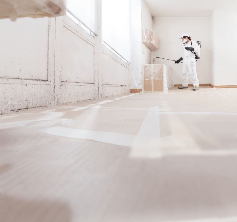 Local Mold Mitigation Service in Van Alstyne, TX