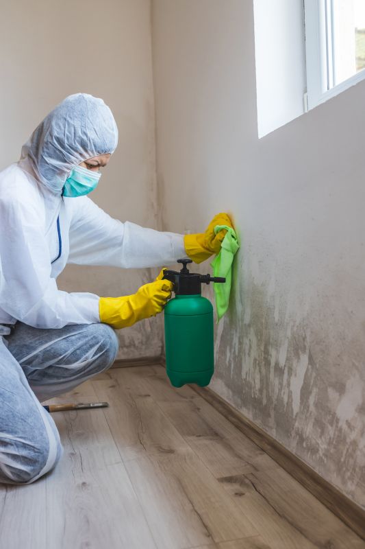 Local Mold Remediation Service in Granbury, TX