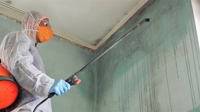 Local Mold Remediation Service in Princeton, TX