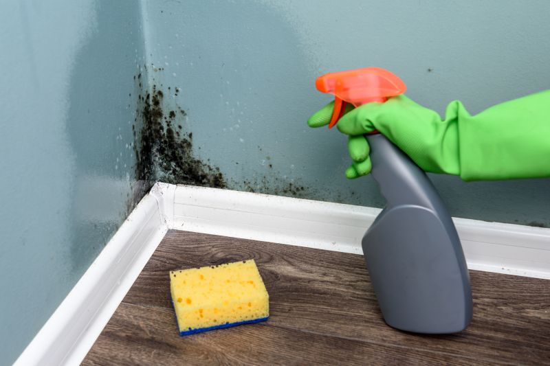 Mold Removal