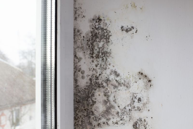 Mold Growth in Humid Conditions