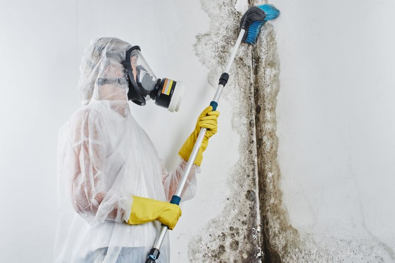 Mold Treatment Service in Fort Worth, TX
