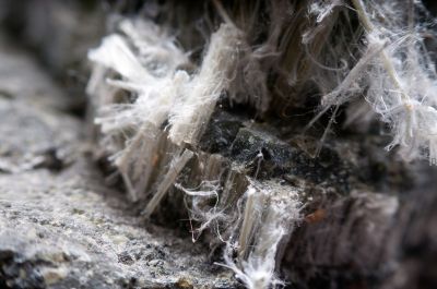 Asbestos Inspection Service in Freehold, NJ