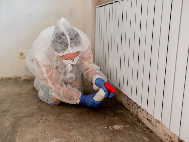 Basement Mold Removal in Bergen County, NJ