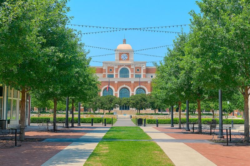 Local Mold Abatement Service in Lewisville, TX