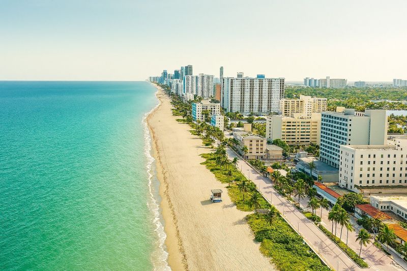 Local Mold Abatement Service in Hollywood, FL