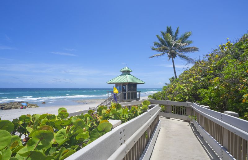 Local Mold Abatement Service in Boca Raton, FL