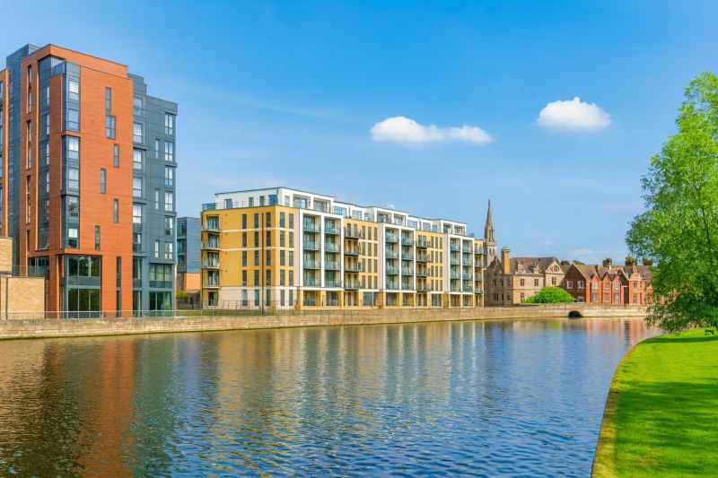 Local Mold Mitigation Service in Bedford, TX