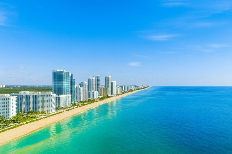 Local Mold Mitigation Service in Hallandale, FL