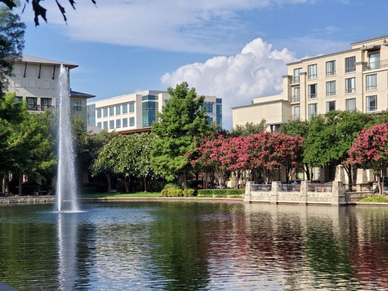 Local Mold Mitigation Service in Plano, TX