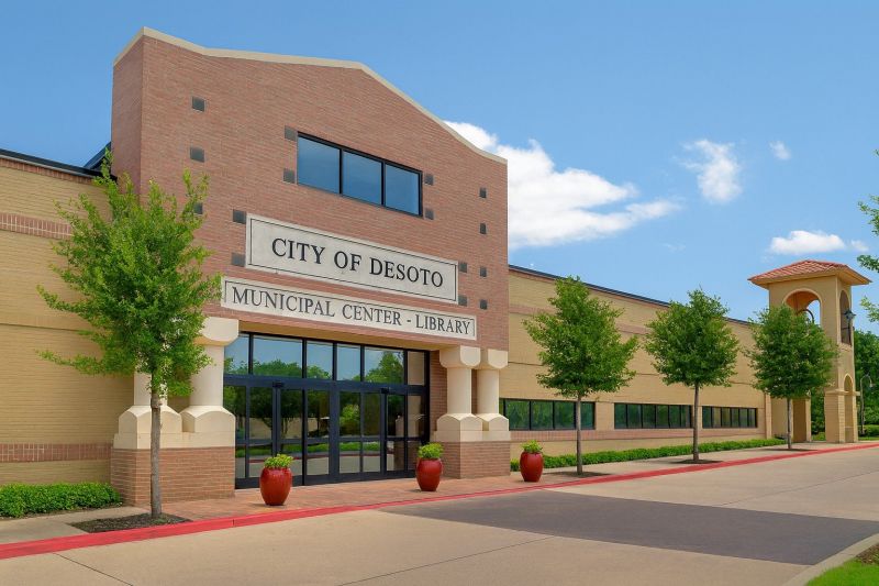 Local Mold Mitigation Service in Desoto, TX