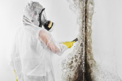Mold Removal in Boca Raton, FL