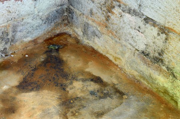 Crawl Space Mold Removal Service