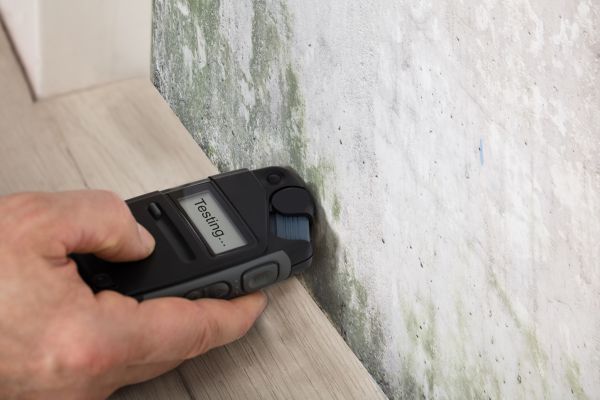 Home Mold Inspection